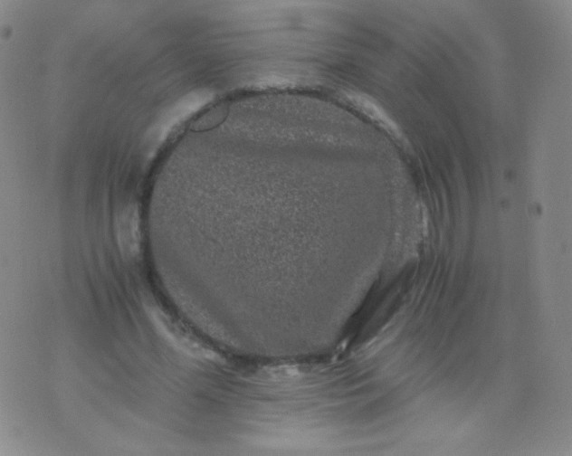 X0000076270588200610122257