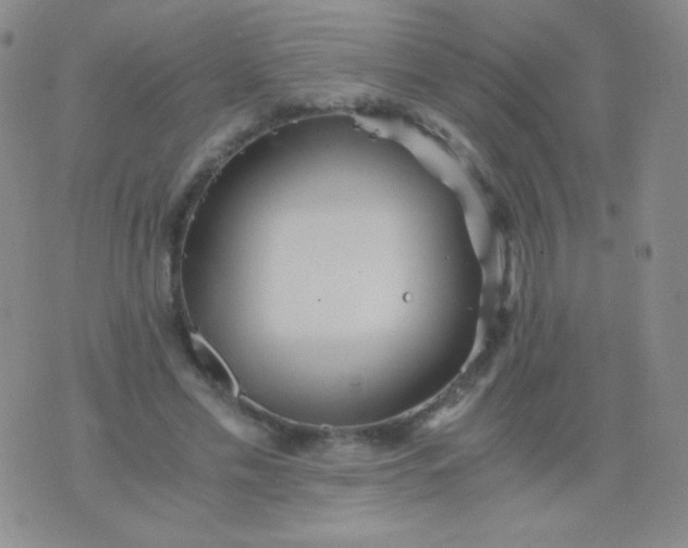 X0000076270589200610122257