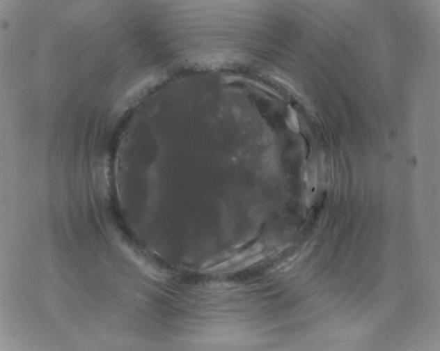 X0000076270590200610122257