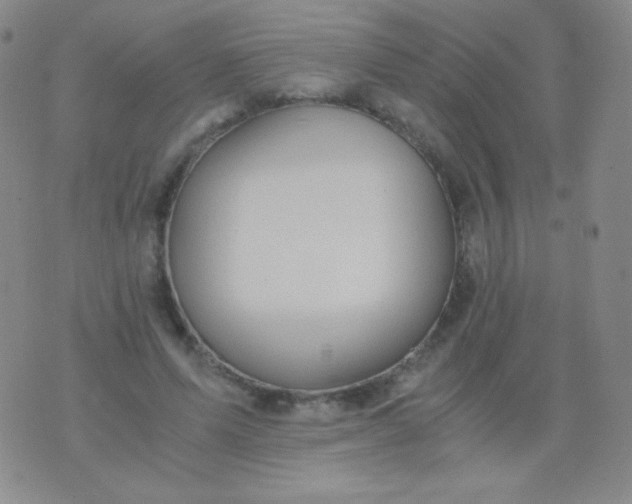 X0000076270591200610122257