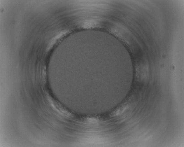 X0000076270592200610122257