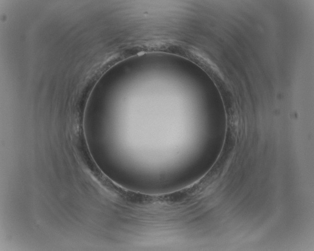 X0000076270593200610122257