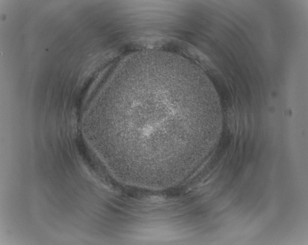 X0000076270594200610122257