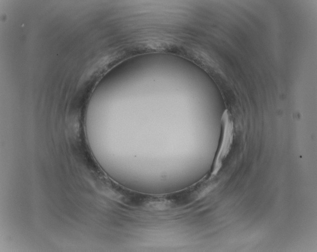 X0000076270595200610122257