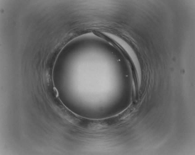 X0000076270597200610122257