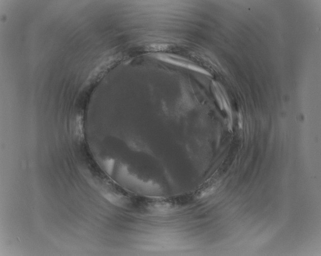 X0000076270598200610122257