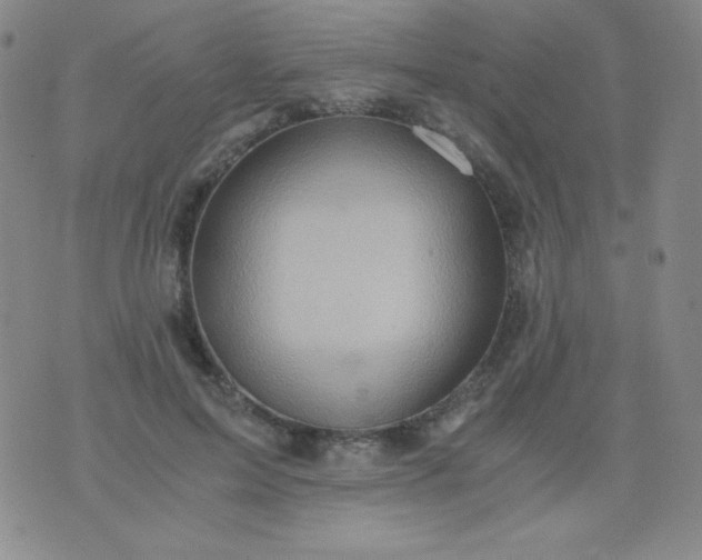 X0000076270599200610122257