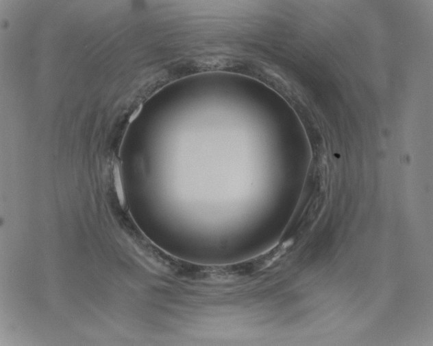 X0000076270601200610122257