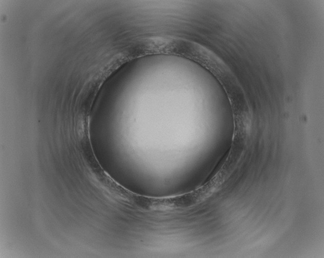 X0000076270602200610122257