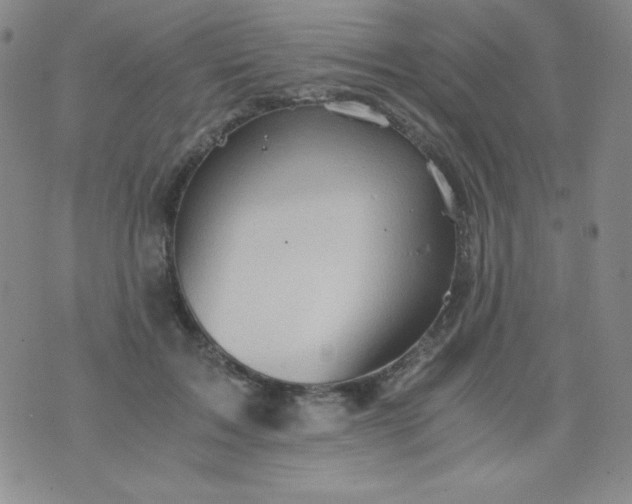 X0000076270603200610122257