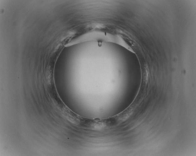 X0000076270604200610122257