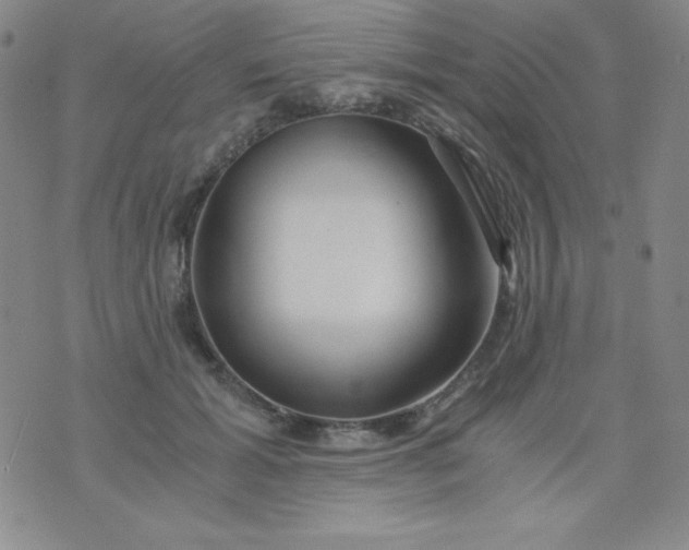 X0000076270605200610122257