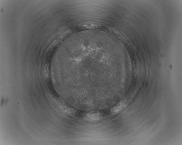 X0000076270606200610122257