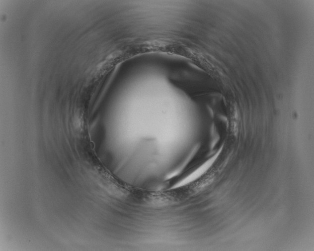 X0000076270608200610122257