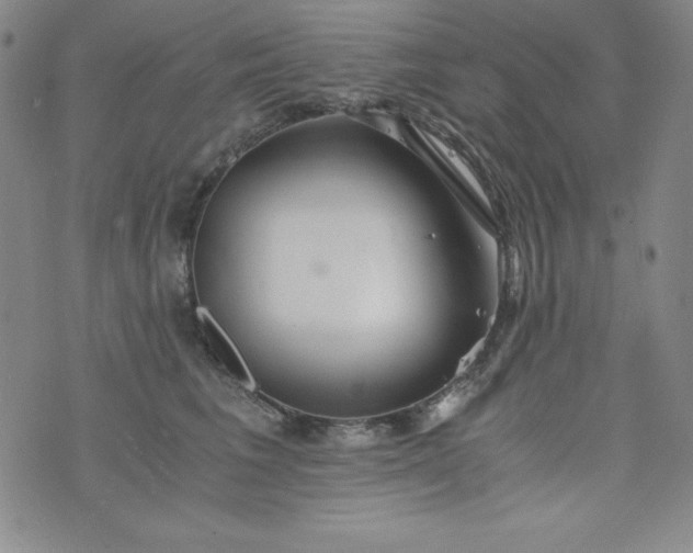 X0000076270613200610122257