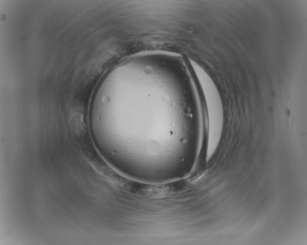 X0000076270615200610122257