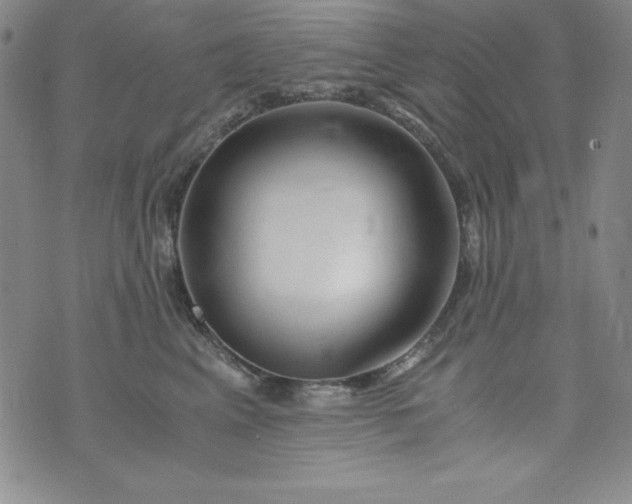 X0000076270617200610122257