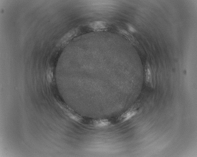 X0000076270618200610122257