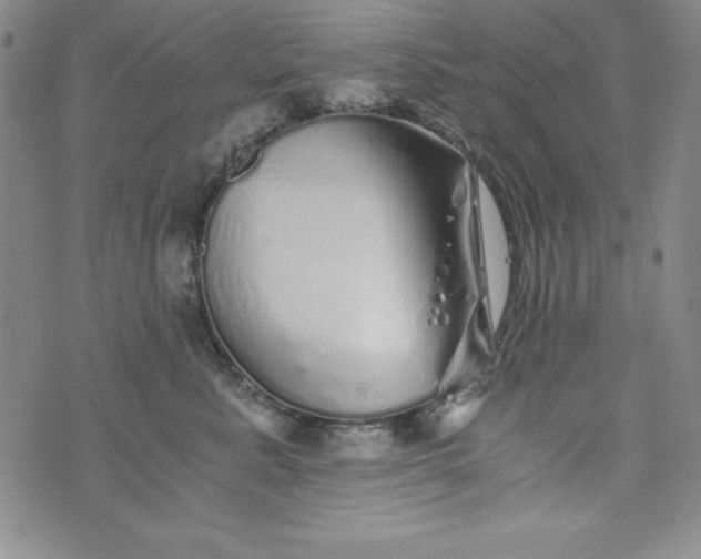 X0000076270619200610122257