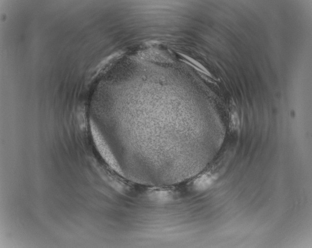 X0000076270620200610122257