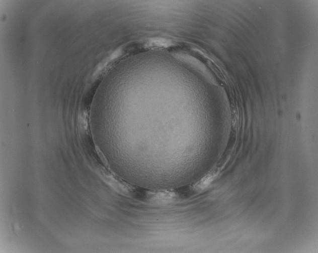 X0000076270621200610122256