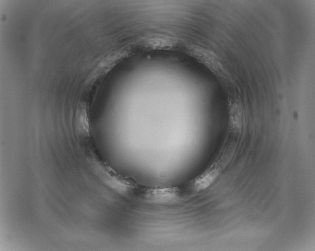 X0000076270622200610122256