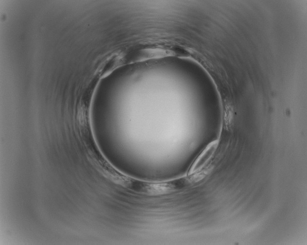 X0000076270623200610122256