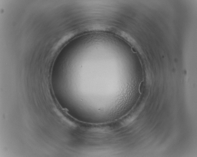 X0000076270625200610122256