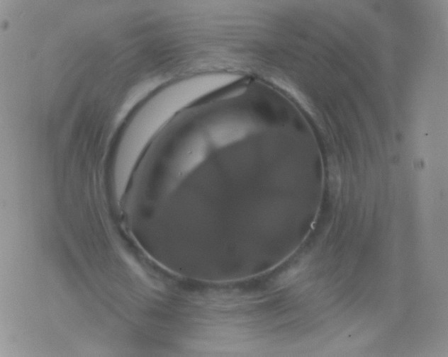 X0000076270626200610122256