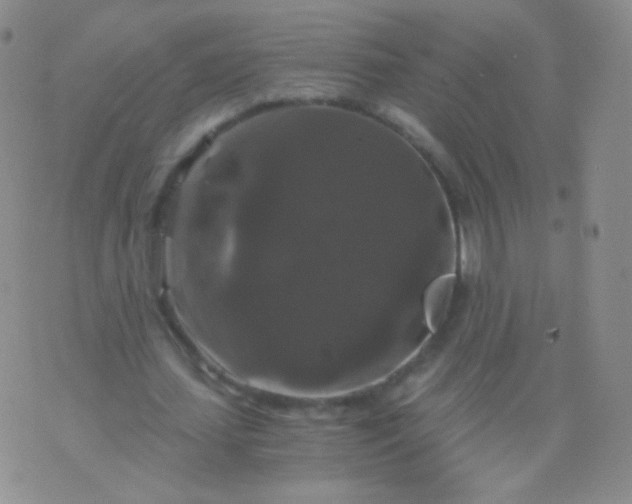 X0000076270627200610122256