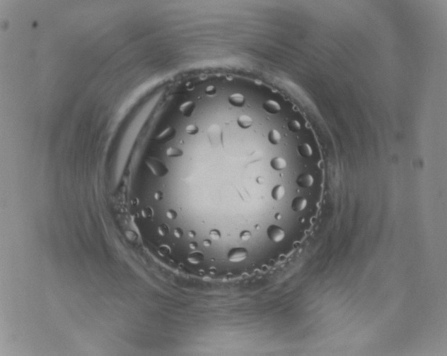 X0000076270628200610122256