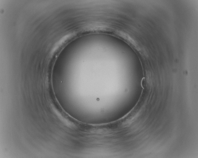 X0000076270629200610122256