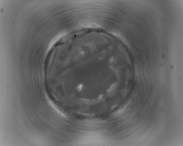 X0000076270630200610122256