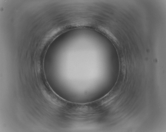 X0000076270631200610122256