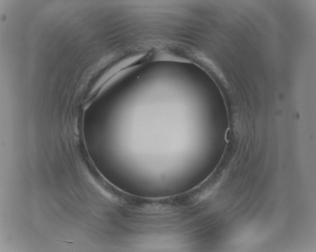 X0000076270633200610122256