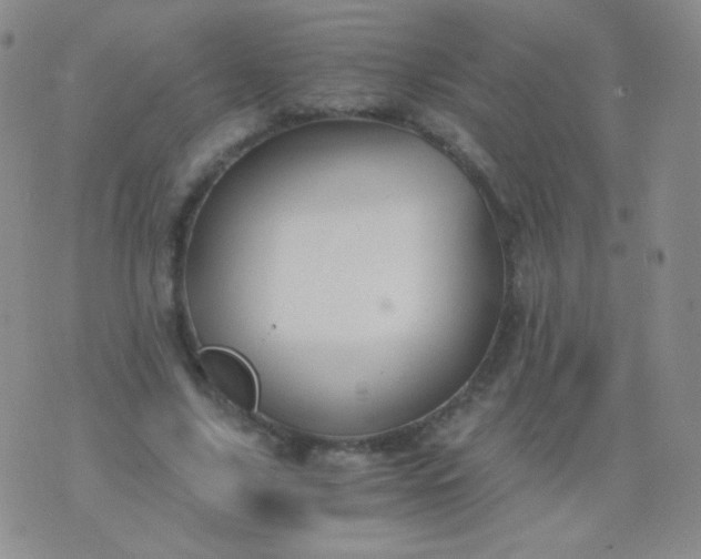 X0000076270635200610122256