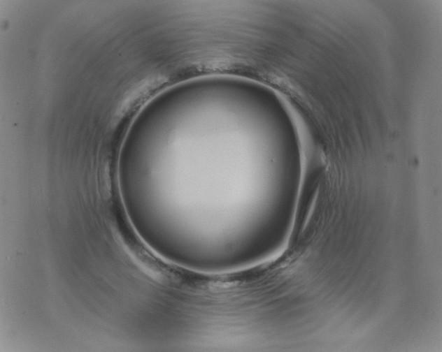 X0000076270638200610122256