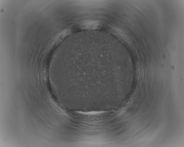 X0000076270641200610122256