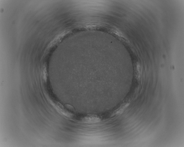 X0000076270644200610122256