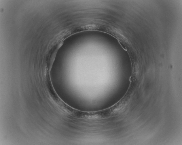 X0000076270645200610122256