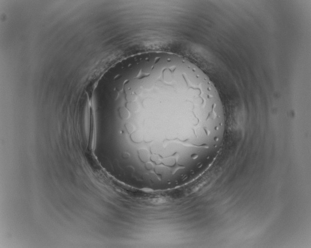 X0000076270646200610122256