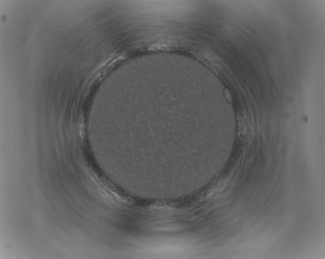 X0000076270648200610122256