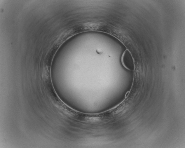 X0000076270649200610122256