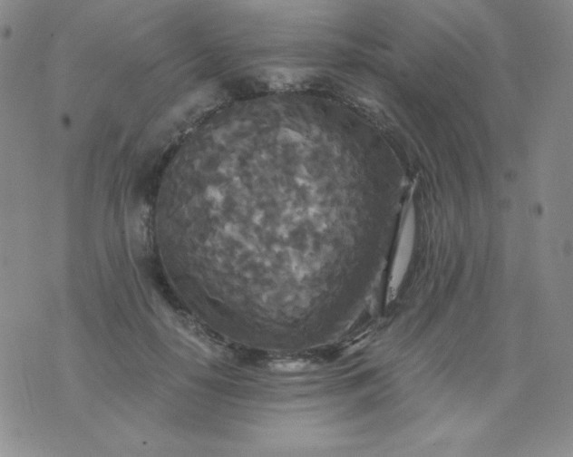 X0000076270650200610122256