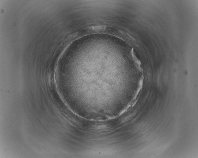 X0000076270651200610122256