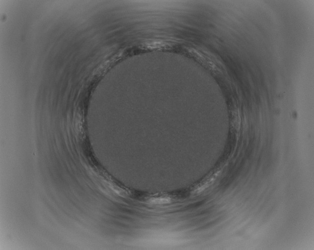 X0000076270653200610122256