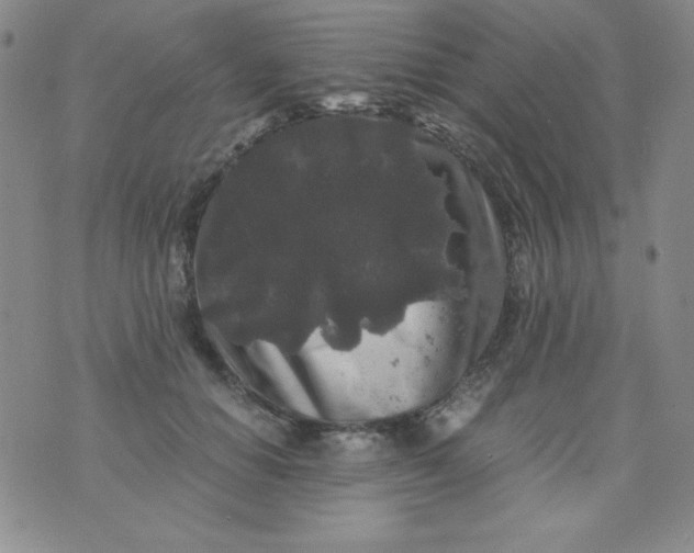 X0000076270654200610122256