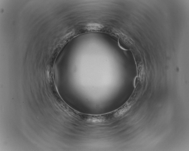 X0000076270655200610122256