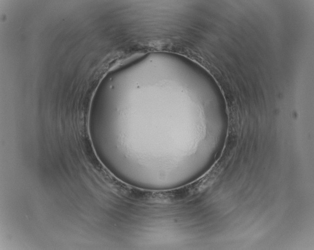 X0000076270656200610122256