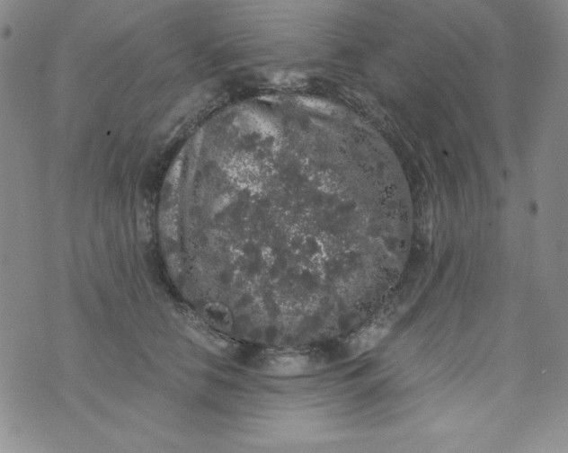 X0000076270658200610122256